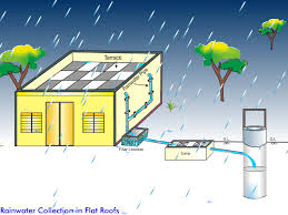 rain water harvesting