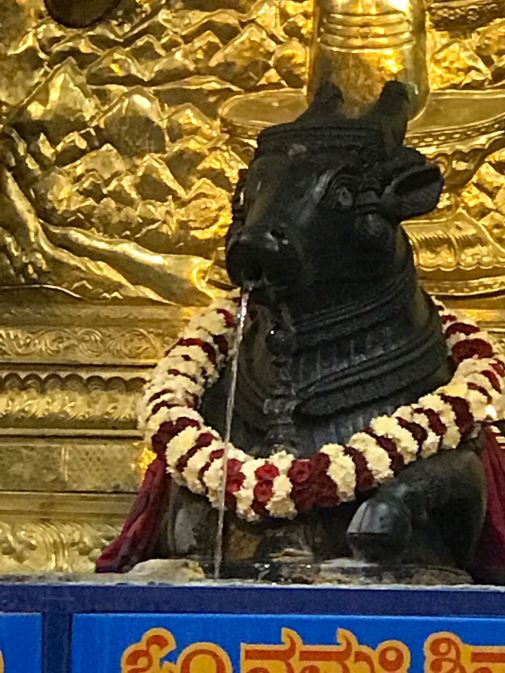 nandi-3